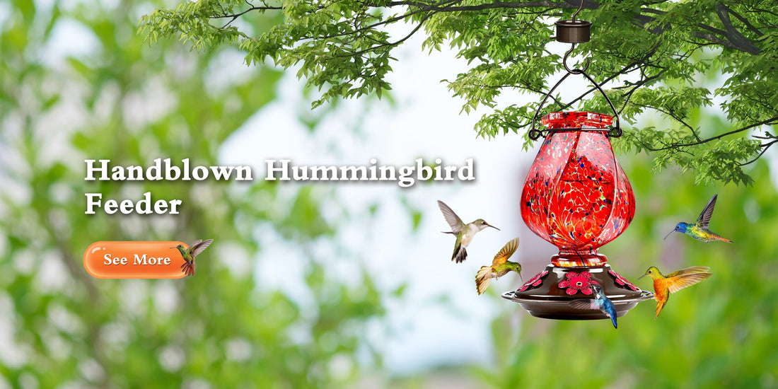 The Chic Gift That Makes Bird Lovers Chirp: BOLITE Hand-Blown Hummingbird Feeder
