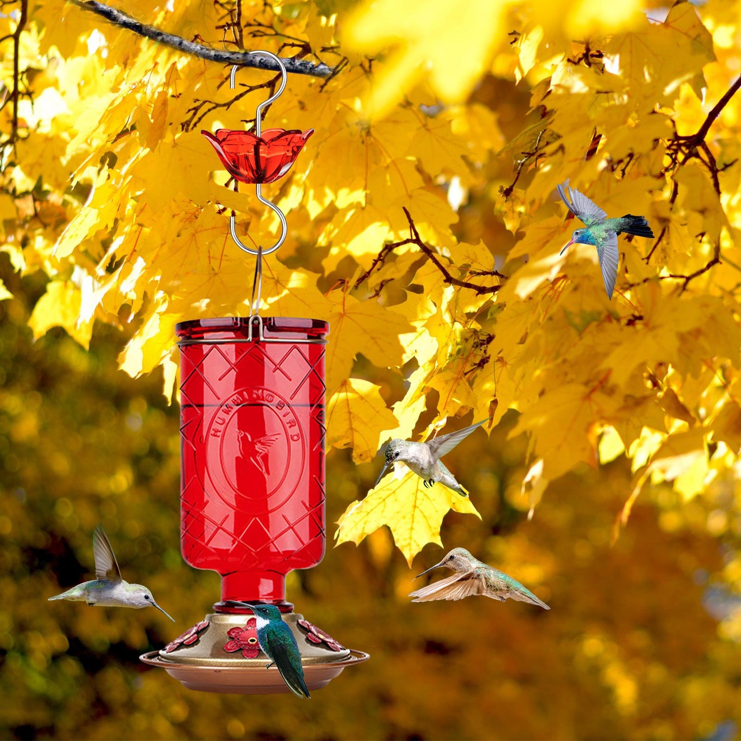 BOLITE Ant Moat for Hummingbird Feeders, 5 Oz Ant Guard with Large Capacity, Hanging Ant Guard for Outdoors, Red Flower Shape, 2 Pack